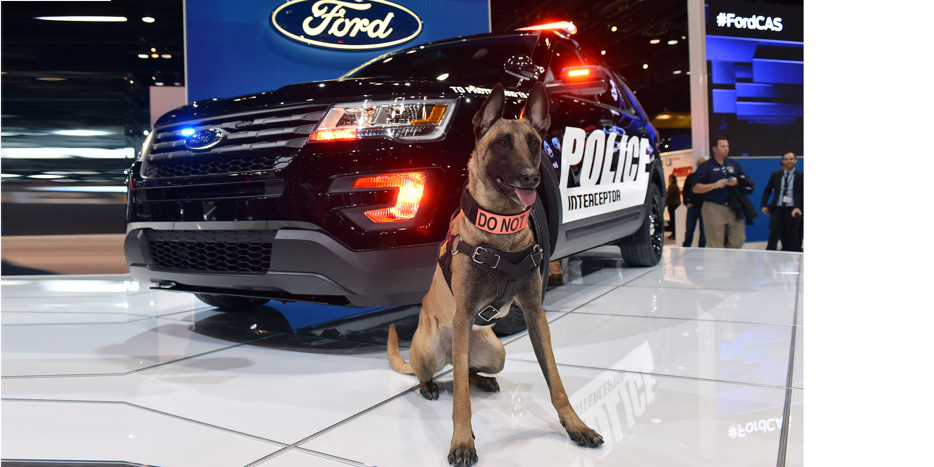 2015 Ford Police Interceptor